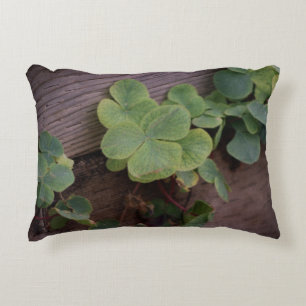 Lucky of vastberaden? Saint Patricks Day Shamrocks Accent Kussen