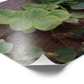 Lucky of vastberaden? Saint Patricks Day Shamrocks Foto Afdruk (Hoek)