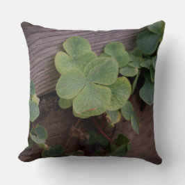 Lucky of vastberaden? Saint Patricks Day Shamrocks Kussen