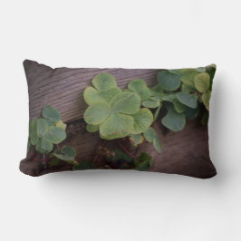 Lucky of vastberaden? Saint Patricks Day Shamrocks Kussen