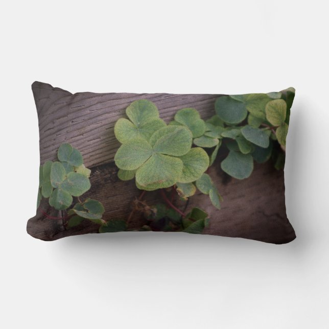 Lucky of vastberaden? Saint Patricks Day Shamrocks Kussen (Voorkant)