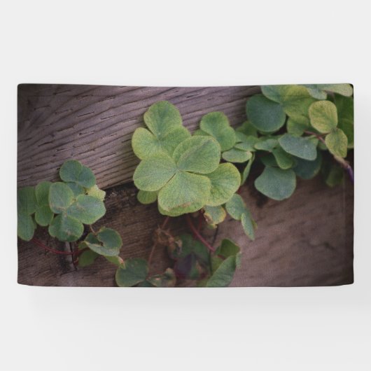 Lucky of vastberaden? Saint Patricks Day Shamrocks Spandoek (Horizontaal)