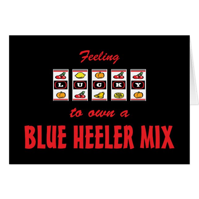 Lucky om een blauw Heeler Mix Fun Dog-ontwerp te b (Voorkant Horizontaal)