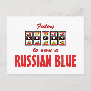 Lucky om een Russisch blauw kattenontwerp te bezit Briefkaart