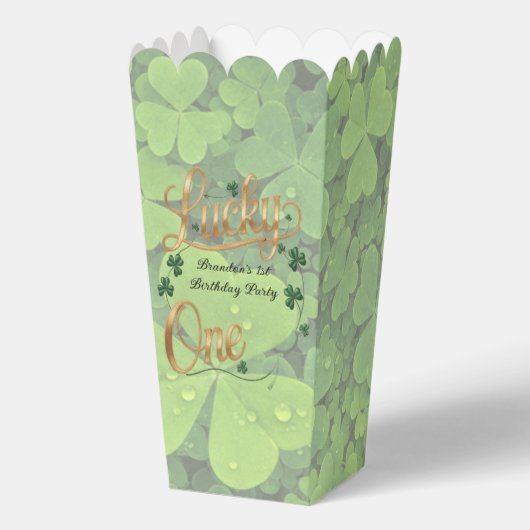 Lucky One 1st. Birthday Party  Bedankdoosjes (Voorkant)