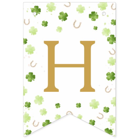 Lucky One First Birthday Banner (Tweede vlag)