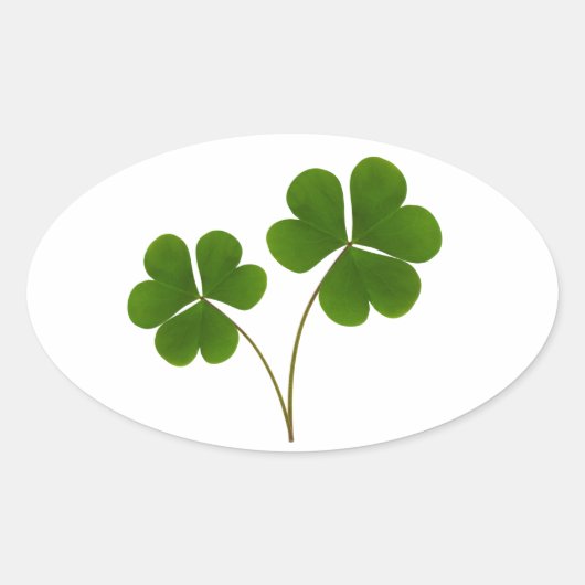 Lucky Ovale Sticker (Voorkant)