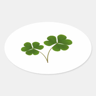 Lucky Ovale Sticker