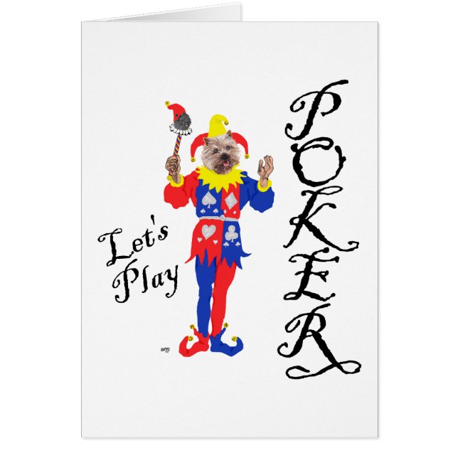 Lucky Poker Cairn Terrier (Voorkant)