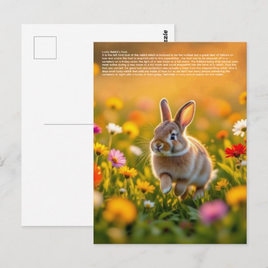 Lucky Rabbit Foot Briefkaart (Voorkant / Achterkant)