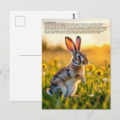 Lucky Rabbit Foot Briefkaart (Voorkant / Achterkant)