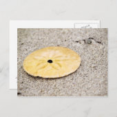 Lucky Sand Dollar Briefkaart (Voorkant / Achterkant)
