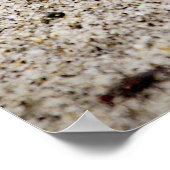 Lucky Sand Dollar Poster (Hoek)