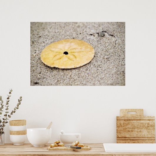Lucky Sand Dollar Poster (Keuken)