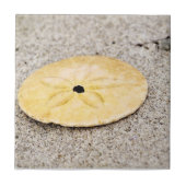 Lucky Sand Dollar Tegeltje (Voorkant)