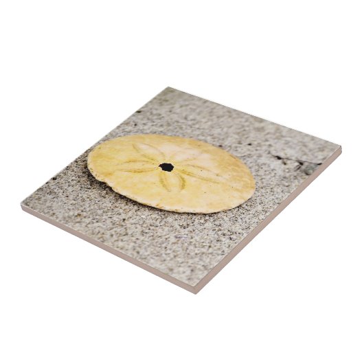 Lucky Sand Dollar Tegeltje (Zijkant)