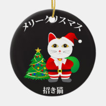 Lucky Santa Cat