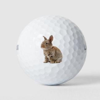Lucky Schattige Rabbit Bunny Golfballen