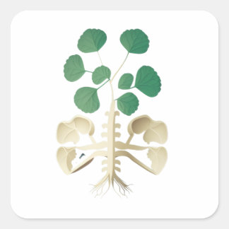 Lucky Shamrock St Patrick's Day Vierkante Sticker