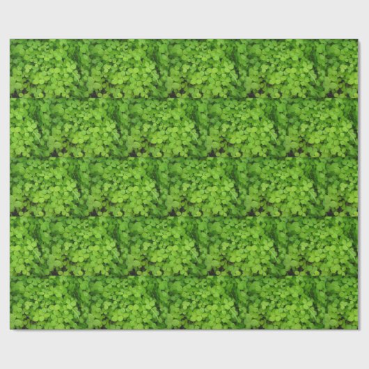 "Lucky Shamrocks!" Cadeaupapier (Vlak)