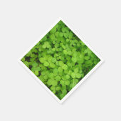 Lucky Shamrocks. Servet (Hoek)