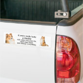 Lucky Sheltie Bumpersticker (Op Truck)