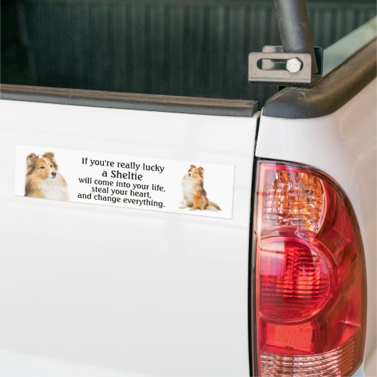 Lucky Sheltie Bumpersticker (Op Truck)