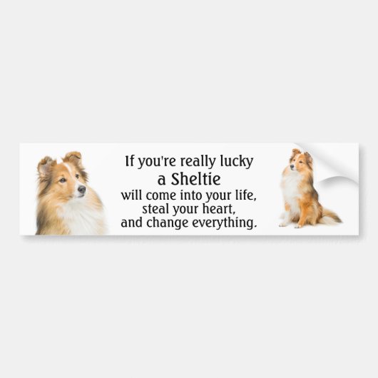 Lucky Sheltie Bumpersticker (Voorkant)