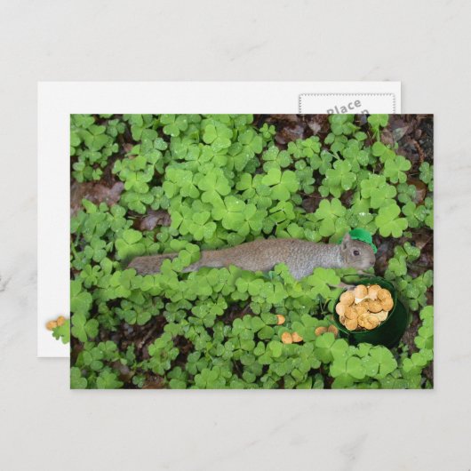 Lucky Squirrel in Clovers Briefkaart (Voorkant / Achterkant)