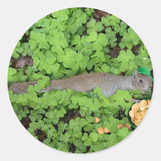 Lucky Squirrel in Clovers Ronde Sticker (Voorkant)
