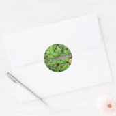 Lucky Squirrel in Clovers Ronde Sticker (Envelop)