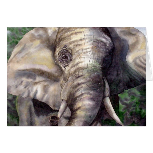 Lucky the Elephant (Voorkant Horizontaal)