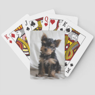 Lucky The Japanse Yorkie speelkaarten