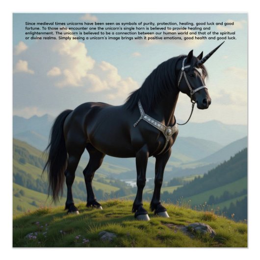 Lucky Unicorn Perfect Poster (Voorkant)