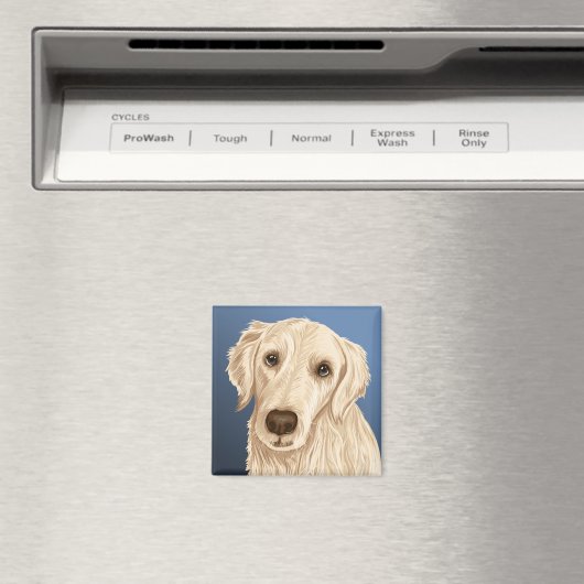 Lucky (vellen) magneet (Insitu (Vaatwasser))