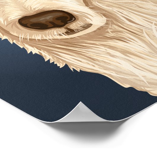 Lucky (vellen) poster (Hoek)