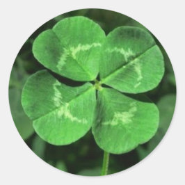 LUCKY VIER BLADKLAVER STICKERS