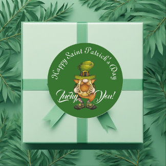 Lucky You Gnome Green Happy Saint Patrick's Day Ronde Sticker