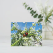 luckykever briefkaart (Staand voorkant)