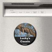 Lucky's neef Magnet (Insitu (Vaatwasser))
