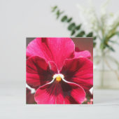 Lucrezia (Staand voorkant)