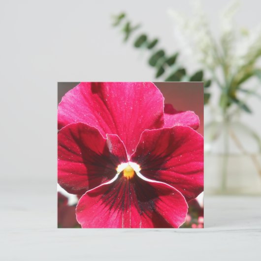 Lucrezia (Staand voorkant)