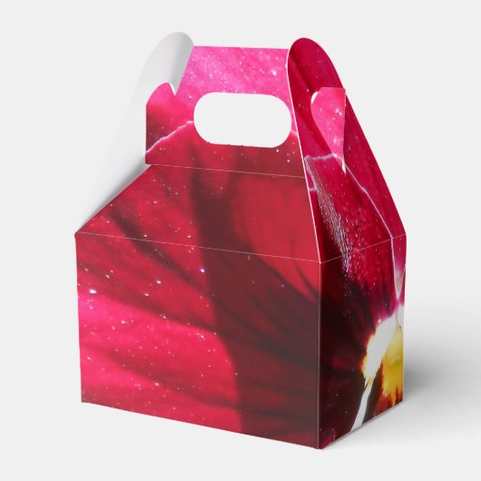 Lucrezia Bedankdoosjes (Achterkant)