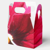 Lucrezia Bedankdoosjes (Geopend)