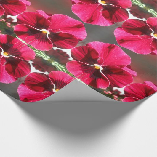 Lucrezia Cadeaupapier (Hoek)