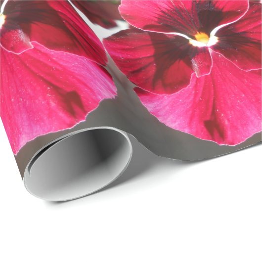 Lucrezia Cadeaupapier (Rol Hoek)