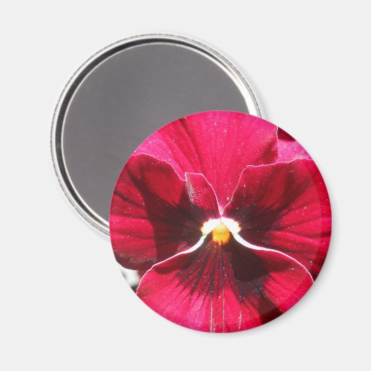 Lucrezia Magneet (Voorkant / Achterkant)