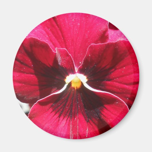 Lucrezia Magneet (Voorkant)