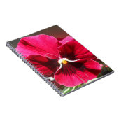 Lucrezia Notitieboek (Rechterzijde)