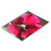 Lucrezia Notitieboek (Linkerzijde)